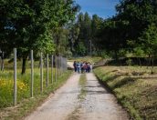 Galeria de Fotos - (Português) Percursos na Natureza voltam a animar crianças do Pré-Escolar e 1.º Ciclo