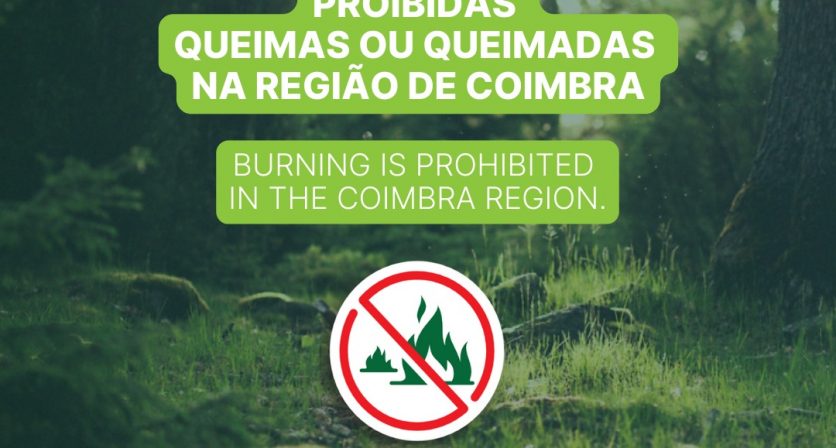 (Português) 𝐏𝐫𝐨𝐢𝐛𝐢𝐜̧𝐚̃𝐨 𝐝𝐞 𝐐𝐮𝐞𝐢𝐦𝐚𝐬 𝐞 𝐐𝐮𝐞𝐢𝐦𝐚𝐝𝐚𝐬