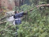 Galeria de Fotos - (Português) Serviços Municipais de Proteção Civil monotorizam Depressão Joseph