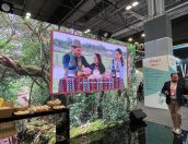 Galeria de Fotos - (Português) FITUR rende-se aos sabores e encantos de Tábua