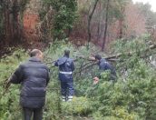 Galeria de Fotos - (Português) Serviços Municipais de Proteção Civil monotorizam Depressão Joseph