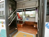 Galeria de Fotos - (Português) Tábua comemora Feriado Municipal