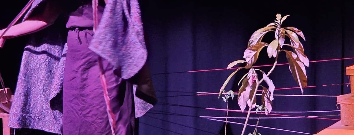 669485968_1535037215294149_6389640721557479107_n