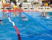 Galeria de Fotos - Escola Municipal de Atividades Aquáticas de Tábua encerrou época desportiva com Festival de Encerramento